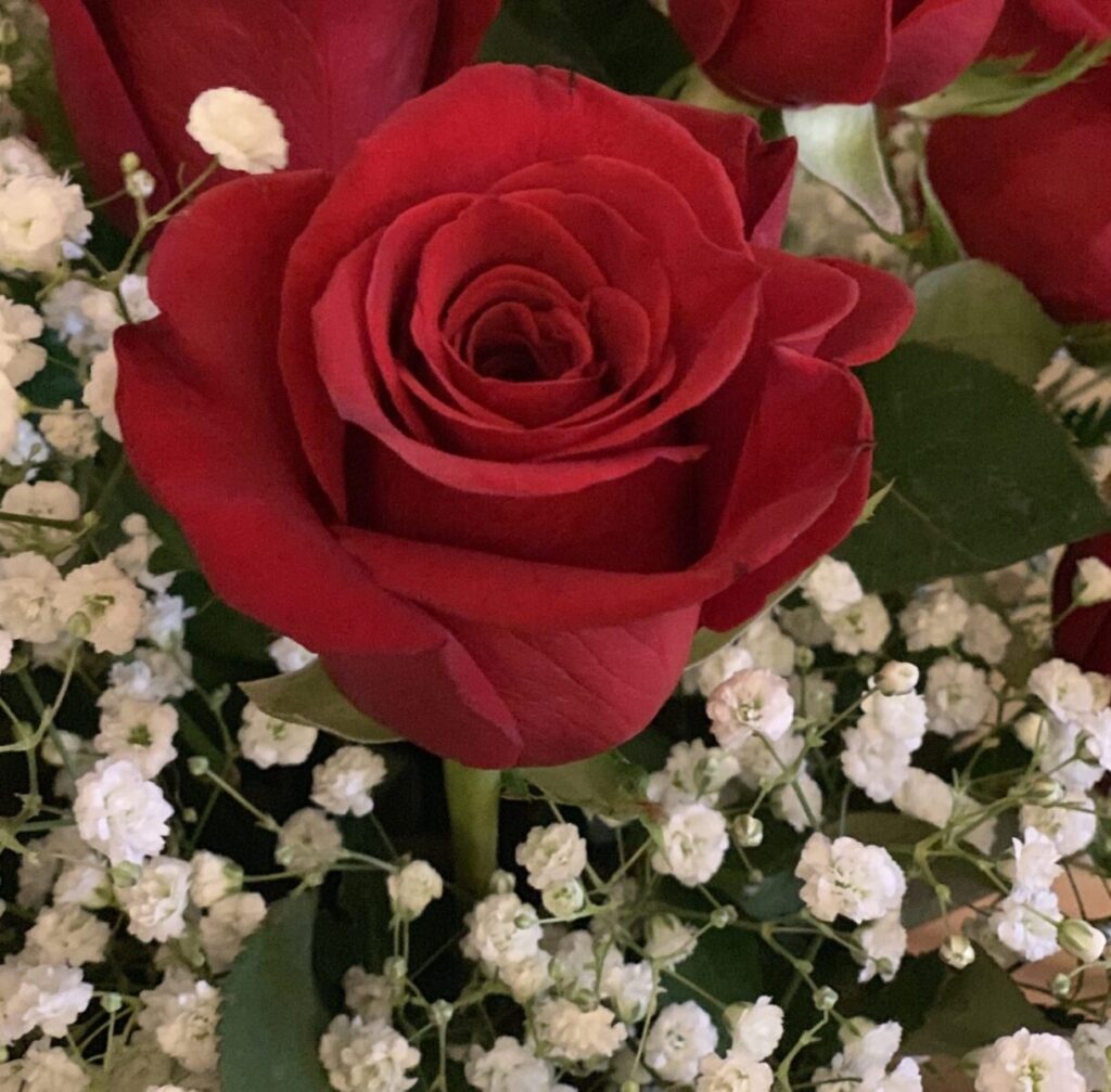 A close up of a red rose surrounded by baby 's breath