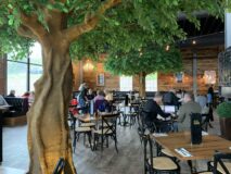 People dining indoors in room decorated with trees at the NY Beer Project... A great way to dine inside but feel like you are outside.