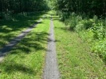 Safe outdoor cycling trail with lush trees along the Lehigh Valley Trail